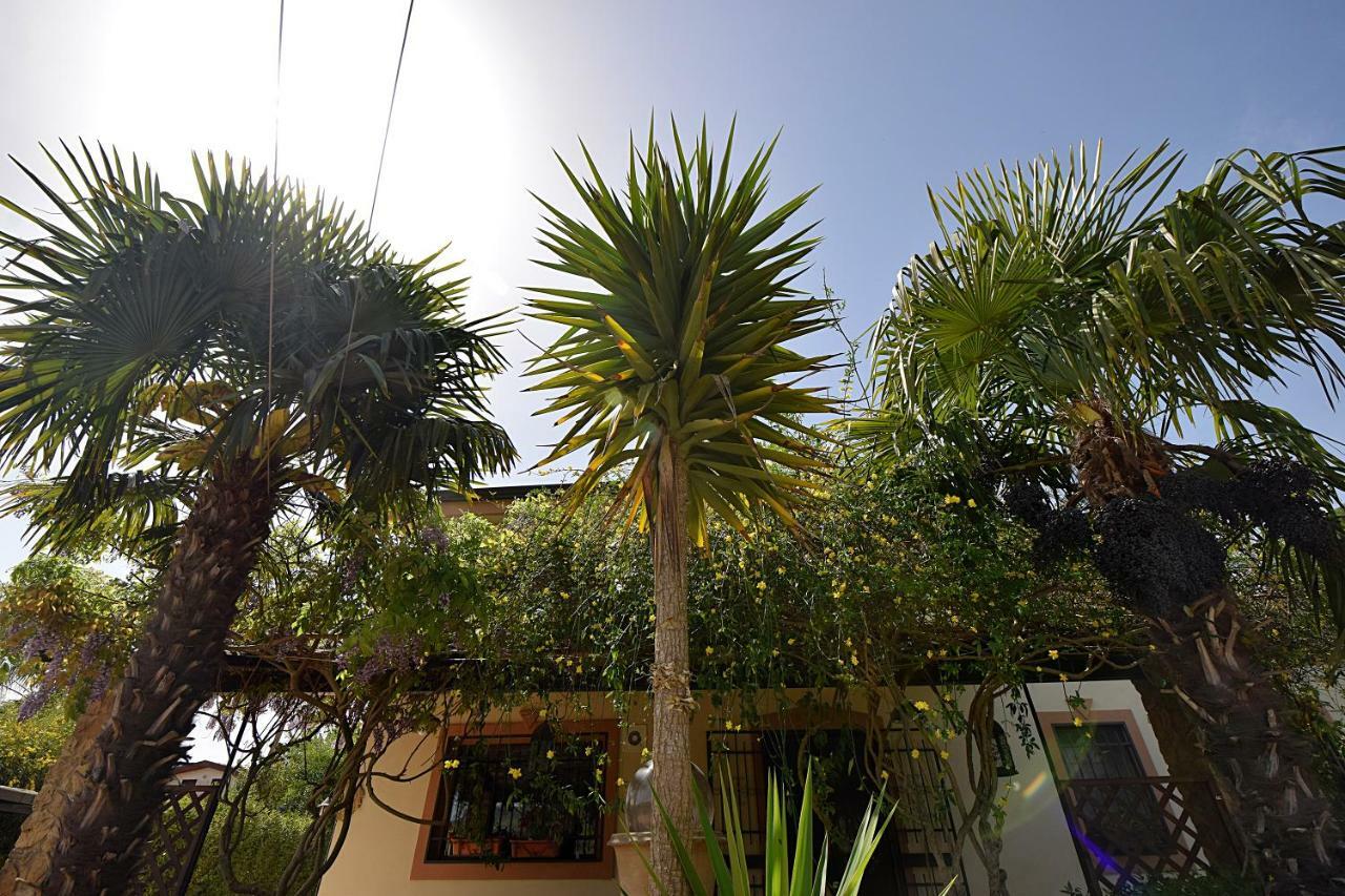 B&B Agave 64 Piazza Armerina Exterior foto